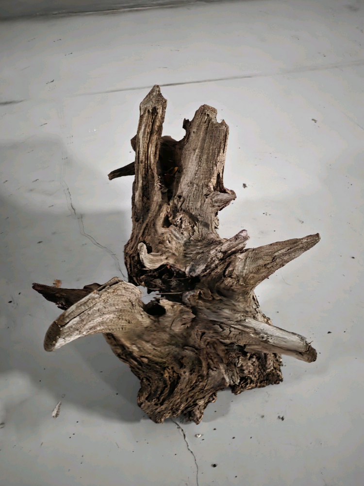 수초 어항 장식용 뿌리 유목--3