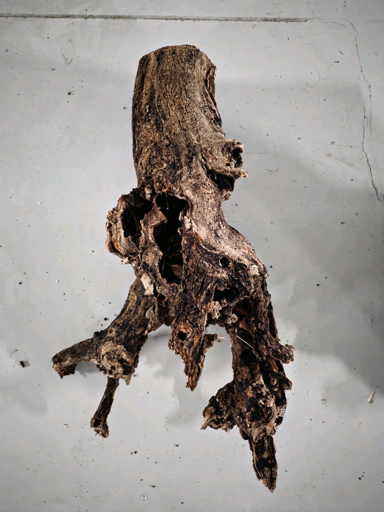 수초 어항 장식용 뿌리 유목--4