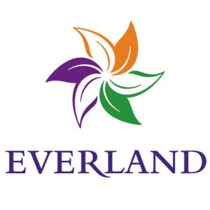 에버랜드 자유이용권 종일권