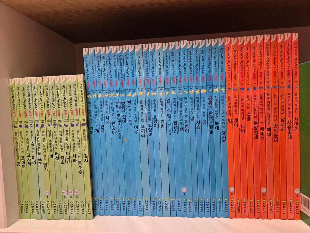 탄탄와이드 자연속으로 완결판 100권 이미지