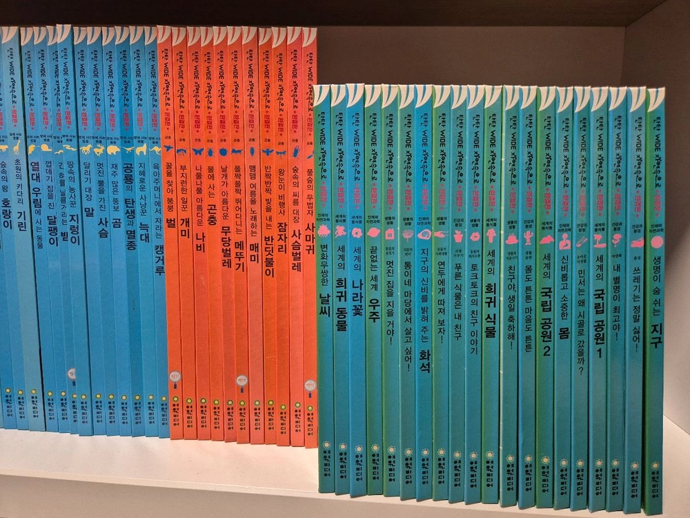 탄탄와이드 자연속으로 완결판 100권 이미지
