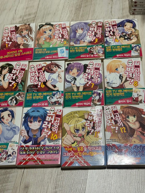 라이트노벨(라노벨) 재고 정리합니다. 게시글 보고 연락주세요(성각의 용기사,--8