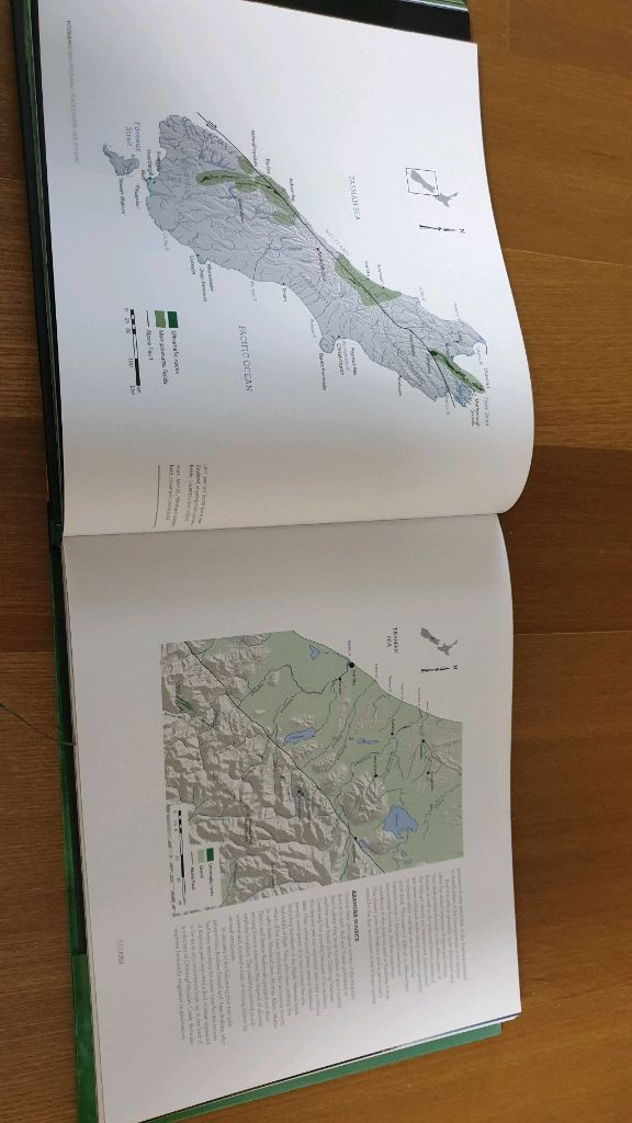 The jade of New Zealand pounamu--4