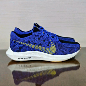 (270) 나이키 줌X 페가수스 러닝화 로얄블루 이미지