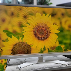 LG(32MP58HQW)IPS 32인치모니터