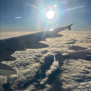 롤 전시즌 플레1 현시즌 미배치 판매 이미지