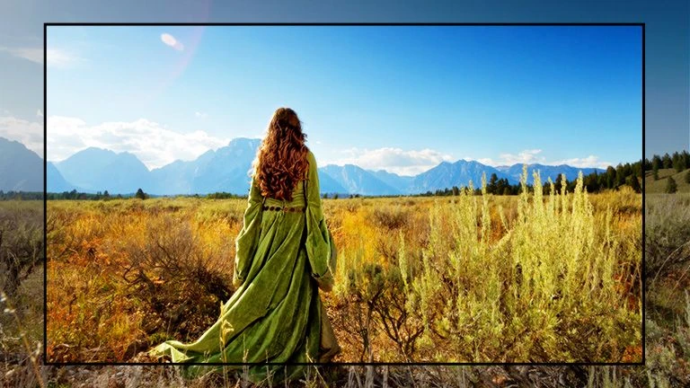 최신 LG 86인치 4K 스마트TV 특가한정판매 ! 이미지