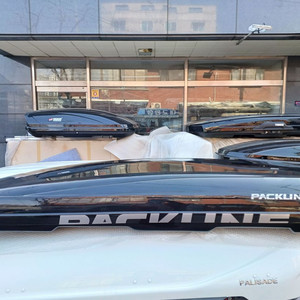 팩라인 nx 프리미엄 블랙 및 XL 그리고 XL 화이트 판매