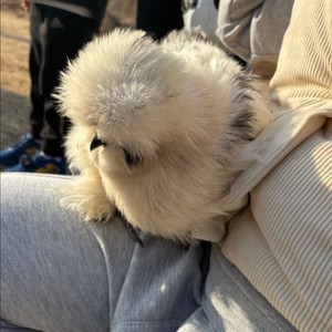 skt데이터 1기가 2기가