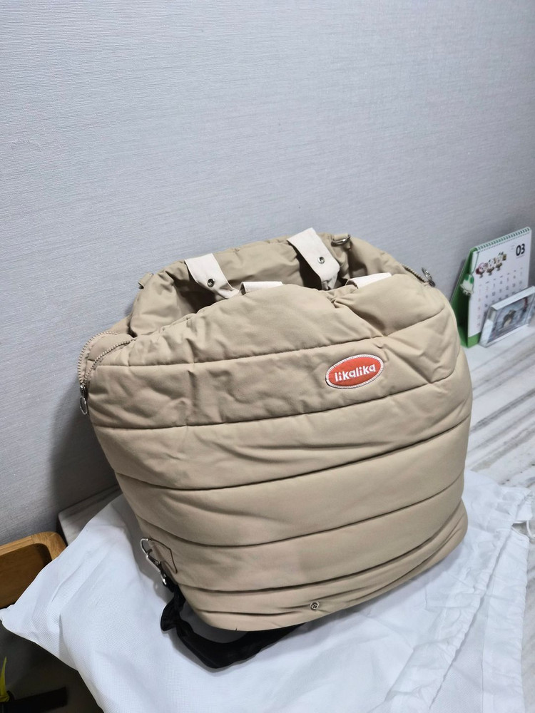 리카리카 에어쉘 반려견 카시트 이동가방--3