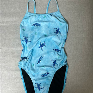 졸린 씨터틀 체비 26