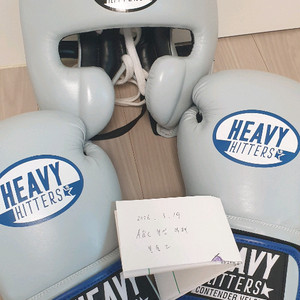 헤비히터 T자 헤드기어 이미지