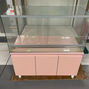 테라리움 팔라디움 플랜테리움 어항 도마뱀 열대어 소동물 이미지