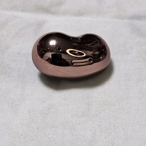 버즈라이브 브론즈 오른쪽 이미지