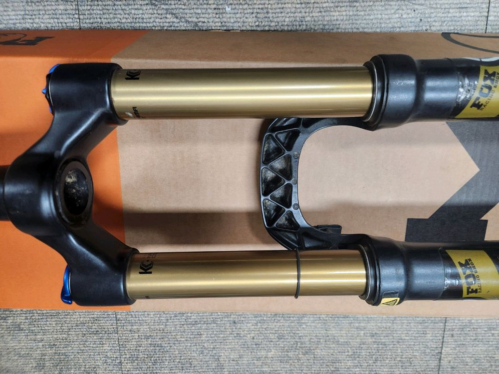 폭스 탈라스 카시마샥--2