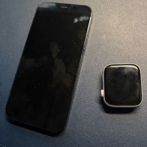 아이폰 12 Pro 퍼시픽 블루 256GB +애플워치se1