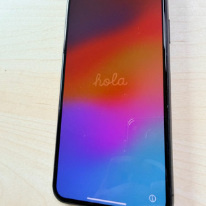 아이폰프로맥스 256기가