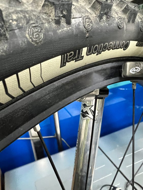 litespeed tanasi 타나시 빈티지 17인치 티타늄 MTB 자전거--6