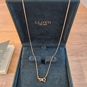 14k 로이드 데일리 베이직 볼드 체인 이미지