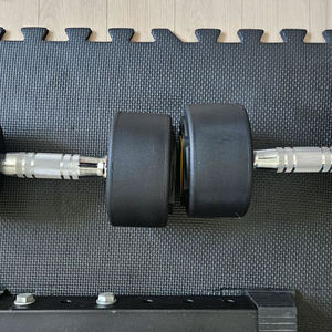 베스코 11kg 덤벨 2개 이미지