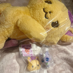 시오닝 가방 엔시티 위시 시온 팬미팅 nct sion 포카 위시돌 인형 이미지