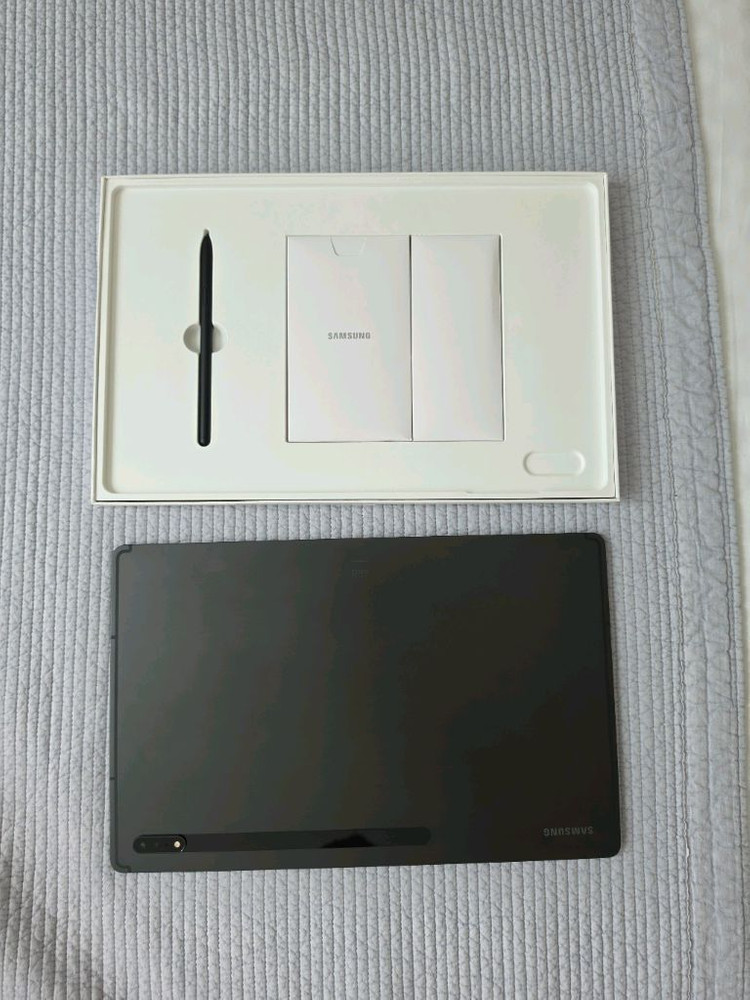 삼성 갤럭시 탭 S8 울트라 그라파이트 풀박스--0