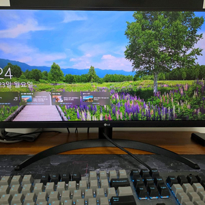 LG 울트라와이드 모니터 29WP500