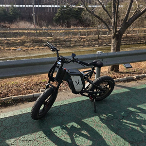 전기자전거 48v 이미지