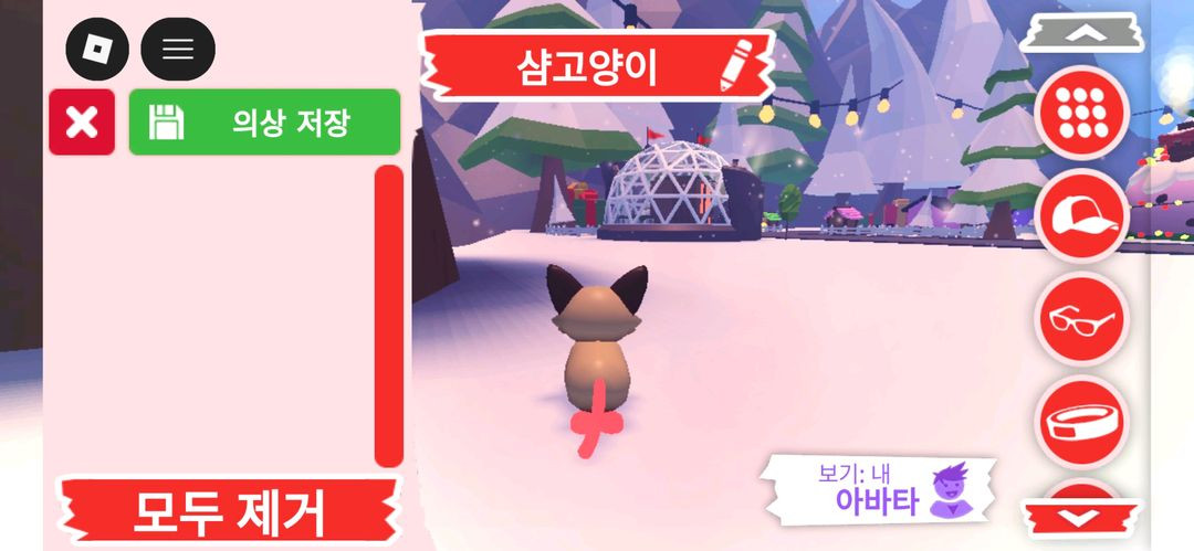 입양하세요 펫 네온 샴고양이(네샴)판매햅니다--3