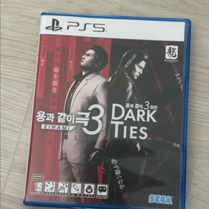 PS5 용과같이 극3