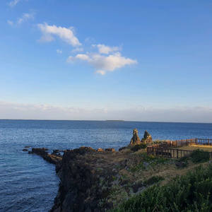 피망 맞고 머니 삽니다 이미지