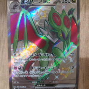 포켓몬카드 일본판 음번ex SSR 이미지