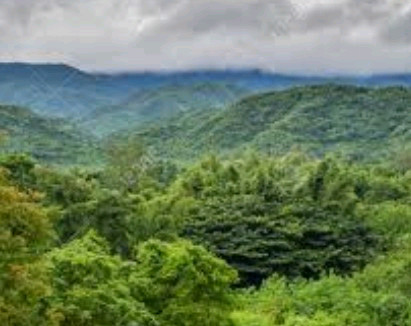 2025년 신형BMW C400GT 팝니다.--7