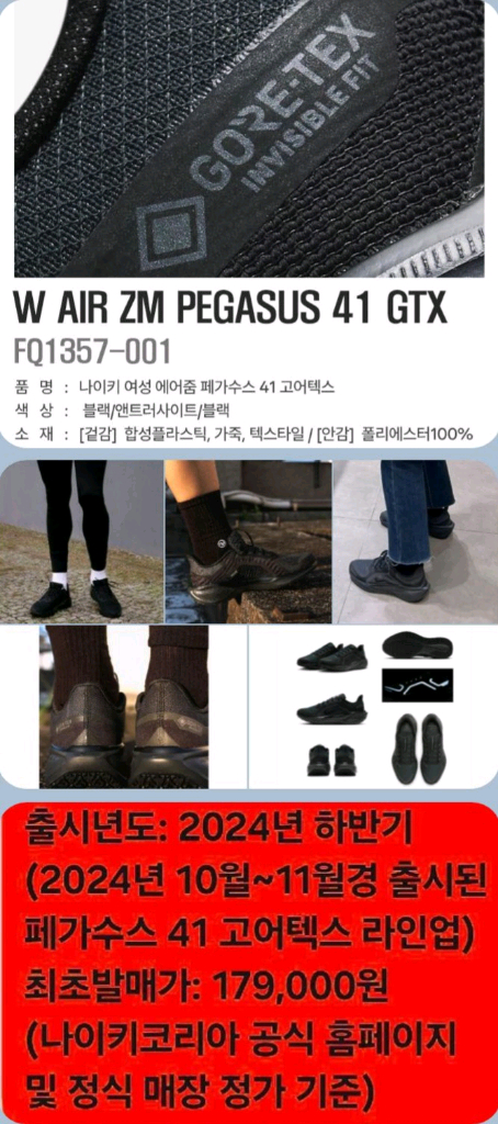 나이키 페가수스 41 GORE-TEX 235(240) 택비포함--1