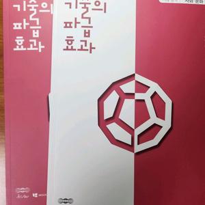 기출의 파급효과 사회문화 2027