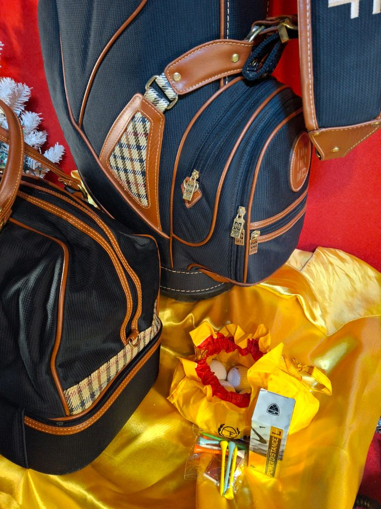 닥스 보스턴백과 골프가방--9