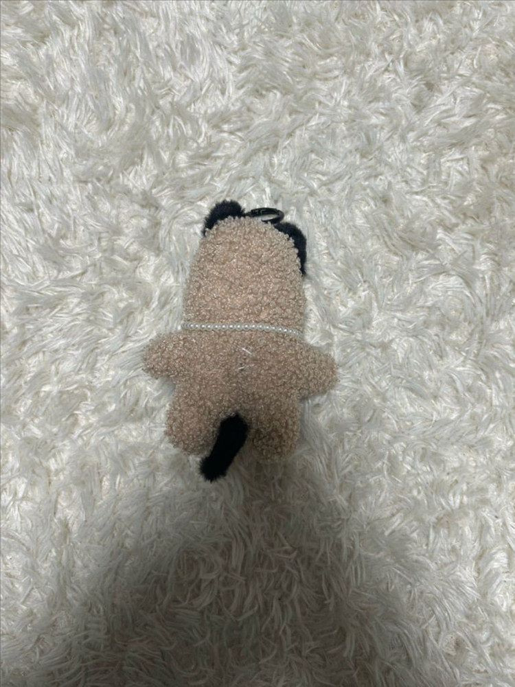 강아지 인형키링 이미지