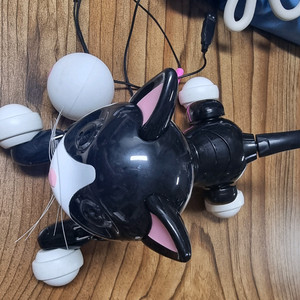 줌머키티 팔아요