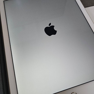 아이패드 에어 2세대 wifi 16GB 골드 이미지