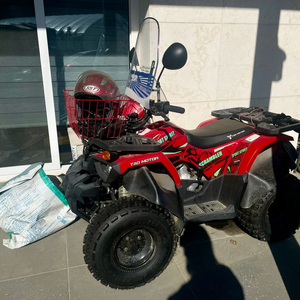 헌터 125cc 4륜 오토바이 ATV 강화 이미지