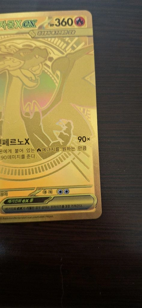 메가 리자몽x mur 이미지