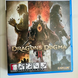 PS5 드래곤즈 도그마 2 게임