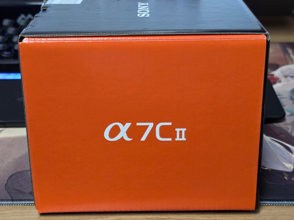 소니 A7C2 실버 팝니다--1