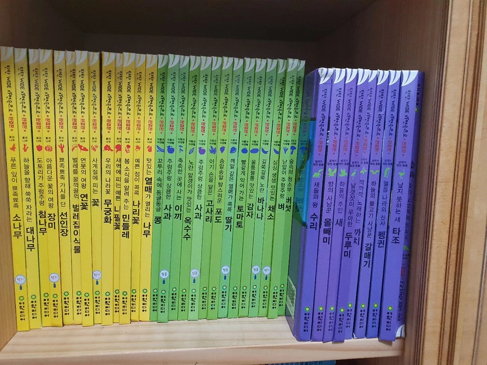 세이펜과 탄탄 와일드 자연속으로 완결판 100권 판매합니다 이미지
