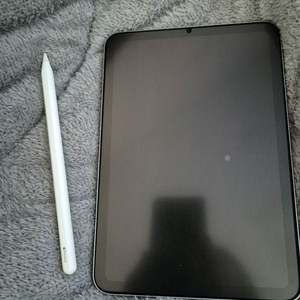 아이패드 미니 6 64기가 양도 판매