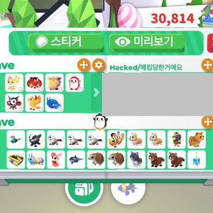 입양하세요 펫 이미지