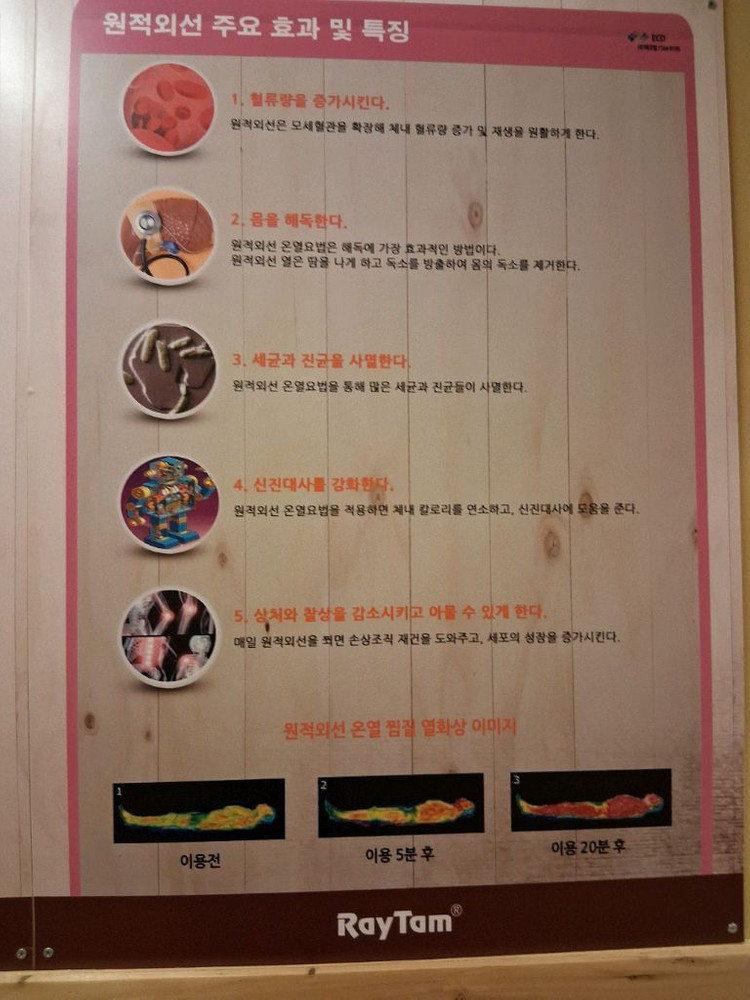 RayTam 원적외선 온열 찜질기 이미지