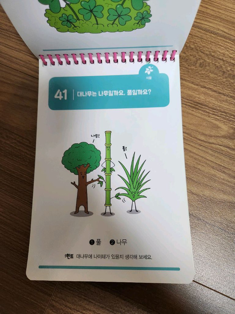 또래퀴즈 시리즈 6권 세트--7