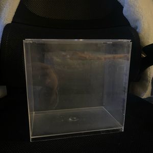 모비딕 히트탱크 플러스