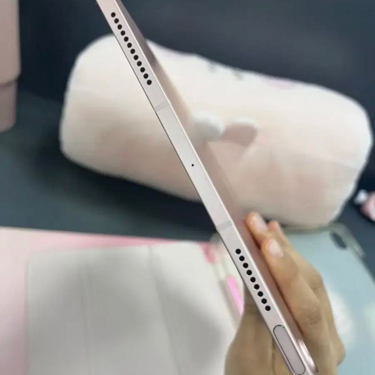 아이패드 에어4 256 핑크 셀룰러 이미지